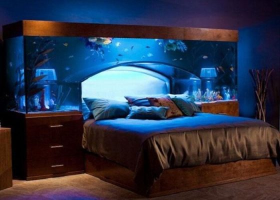 bể cá đầu giường