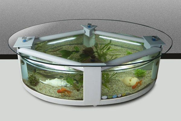 bể cá hình tròn bàn trà